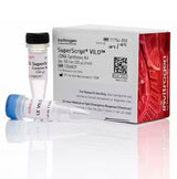 25942. KIT DE SINTESIS DE ADNC SUPERSCRIPT VILO 50 REACCIONES INVITROGEN