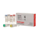 55399.SUPERSCRIPT IV VILO MASTER MIX WITH EZDNASE ENZYME  500 REACCIONES - INVITROGEN