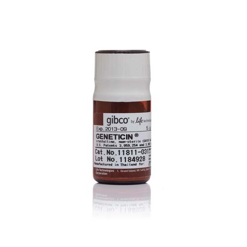 12809.ANTIBIOTICO SELECTIVO GENETICIN (SULFATO G418) POLVO 5GR - GIBCO