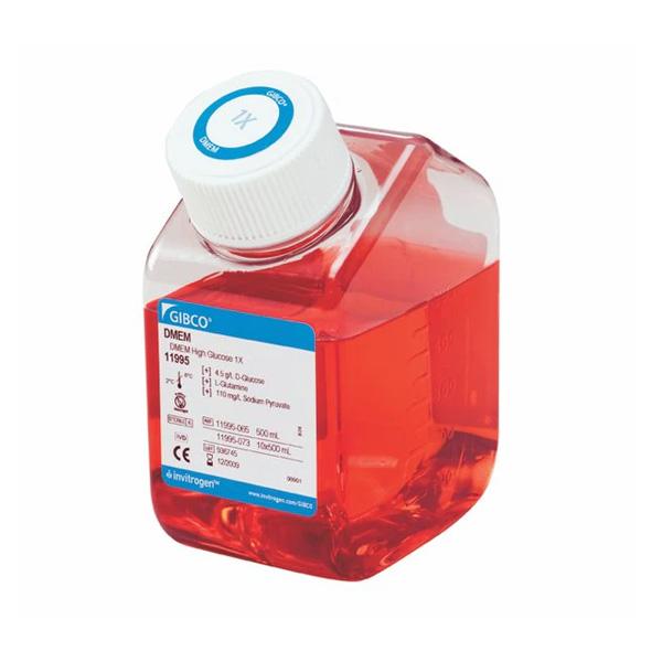 DMEM, HIGH GLUCOSE, PYRUVATE, 500ML 11995065 - GIBCO