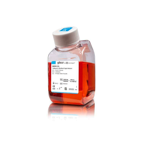 53705. DMEM (DULBECCO'S MODIFIED EAGLE MEDIUM) GLUCOSA ALTA, PIRUVATO 6 X 1LT GIBCO