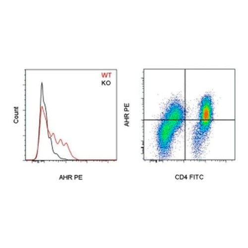 26860. AHR MONOCLONAL ANTIBODY (4MEJJ) PE 100UG EBIOSCIENCE INVITROGEN