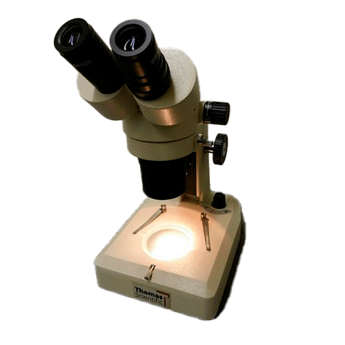 12159. MICROSCOPIO BINOCULAR ESTEREO DE AUMENTO FIJO DOS POTENCIAS HALOGENO FLUORESCENTE CAMBIADOR DE AUMENTO DE PERILLA AMPLIACION 20X40X LABFORCE