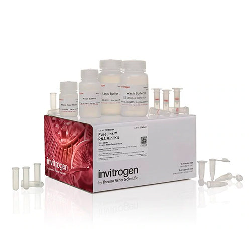 3547. MINIKIT DE ARN PURELINK 50 PRUEBAS - INVITROGEN