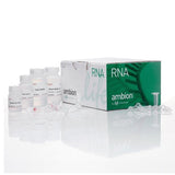 53610. KIT (MINI) PARA EXTRACCION DE RNA (PURELINK) P/10 PREPARACIONES AMBION - INVITROGEN