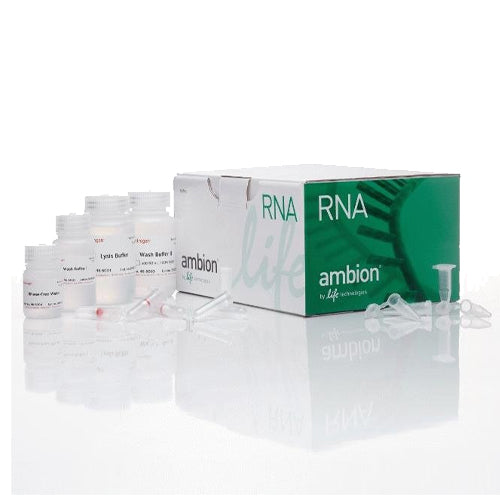 3158. KIT (MINI) PARA EXTRACCION DE RNA (PURELINK) P/10 PREPARACIONES AMBION - INVITROGEN