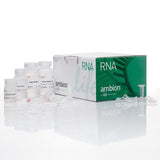 53551. MINI KIT PURELINK 250 PRUEBAS - INVITROGEN