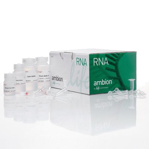 53551. MINI KIT PURELINK 250 PRUEBAS - INVITROGEN