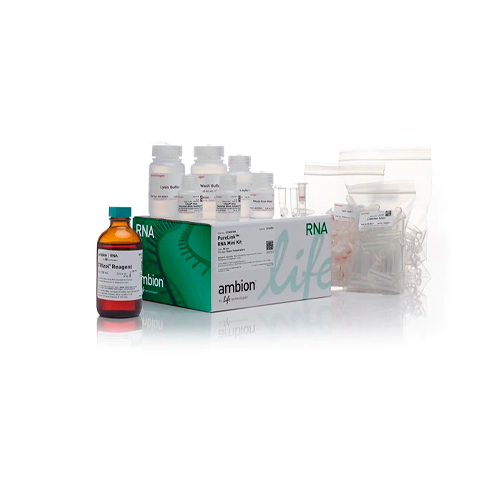 19800. KIT DE PURIFICACION DE ARN TRIZOL PLUS 50 PREPARACIONES - INVITROGEN