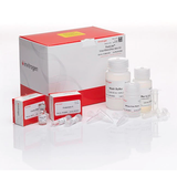 53479. PURELINK VIRAL RNA/DNA MINI KIT, 50 PREPS - INVITROGEN