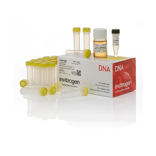 18048. ONE SHOT MAX EFFICIENCY DH5A-T1R COMPETENT CELLS 21 X 50UL - INVITROGEN