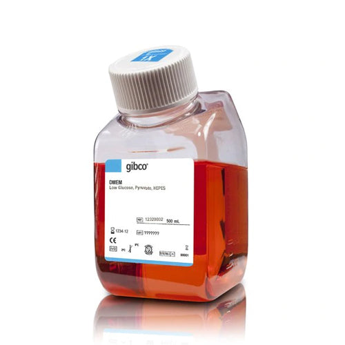 53417. DMEM BAJO NIVEL DE GLUCOSA, PIRUVATO, HEPES 500ML - GIBCO