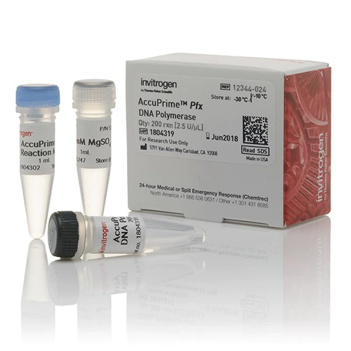 6385. ACCUPRIME PFX DNA POLYMERASE 200 RXN - INVITROGEN