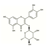 18550. STD QUERCITRIN 10MG - EXTRASYNTHESE