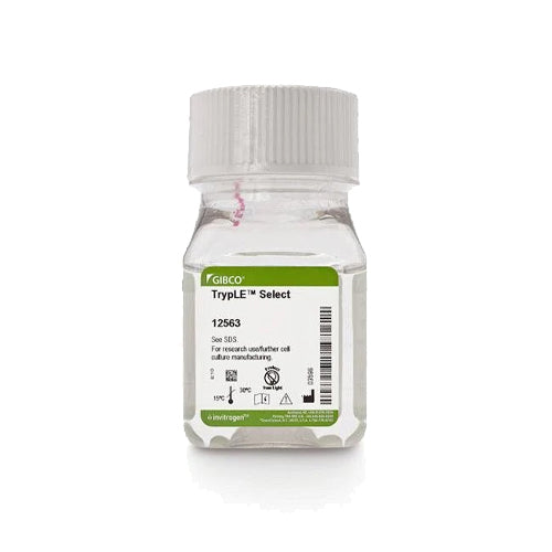 53416. ENZIMA TRYPLE SELECT 1X SIN ROJO FENOL 100ML - GIBCO