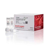 22745. SUPERSCRIPT III ONE STEP RT-PCR SYSTEM WITH PLATINUM TAQ DNA POLYMERASE, 25 REACCIONES INVITROGEN