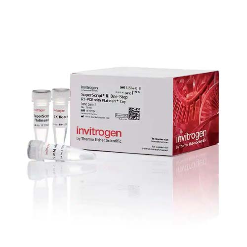 22745. SUPERSCRIPT III ONE STEP RT-PCR SYSTEM WITH PLATINUM TAQ DNA POLYMERASE, 25 REACCIONES INVITROGEN