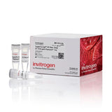 53612. SUPERSCRIPT III ONE STEP RT-PCR SYSTEM WITH PLATINUM TAQ DNA POLIMERASA, 100 REACCIONES - INVITROGEN