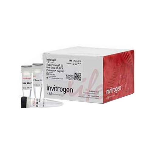 13600.SUPERSCRIPT III ONE-STEP RT-PCR SYSTEM WITH PLATINUM TAQ HIGH FIDELITY DNA POLYMERASE 100 REACTIONS - INVITROGEN