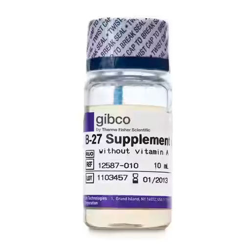 20913. SUPLEMENTO B-27 (50X) SIN VITAMINA A 10ML - INVITROGEN