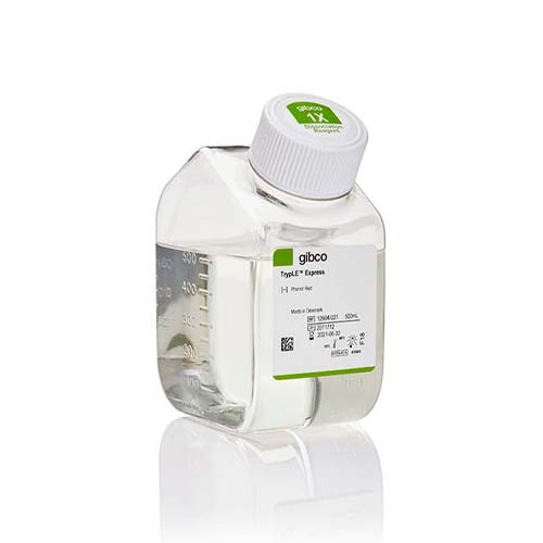 12360.TRYPLE EXPRESS ENZYME (1X) NO PHENOL RED 500ML - GIBCO