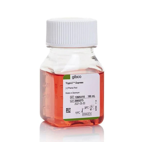 3775. TRYPLE™ EXPRESS ENZYME (1X), PHENOL RED 100ML - GIBCO