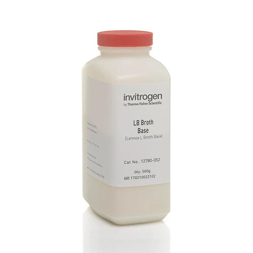 4384. CALDO LB (LENNOX) BASE 500GR - INVITROGEN