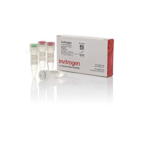 1699. PLATINUM HOT START PCR MASTER MIX (2X), 200 RXNS - INVITROGEN