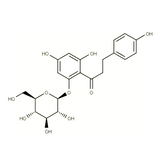18553. STD PHLORIDZIN 20MG - EXTRASYNTHESE