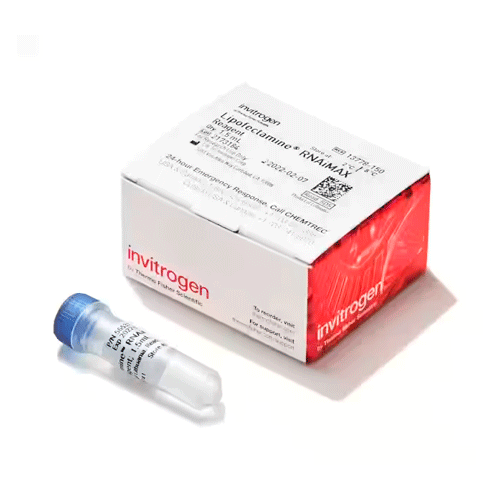 26910. REACTIVO P/TRANSFECCION LIPOFECTAMINA 0.75ML INVITROGEN