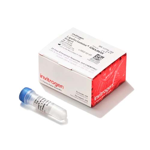55726. LIPOFECTAMINE RNAIMAX TRANSFECTION REAGENT 1.5ML - INVITROGEN