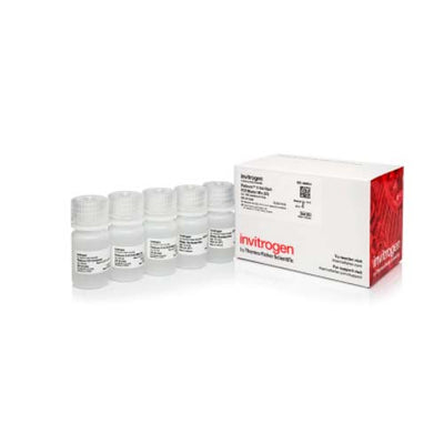55464. PLATINUM II HOT-START PCR MASTER MIX (2X) 1000 REACCIONES - INVITROGEN