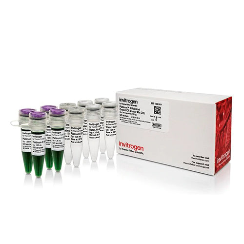 53540. PLATINUM II HOT-START GREEN PCR MASTER MIX (2X), 200 RXN - INVITROGEN