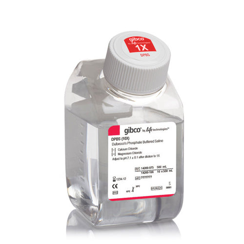 53449. DPBS (10X), CALCIUM, MAGNESIUM 500ML - GIBCO
