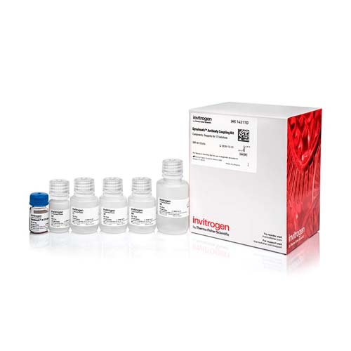 21262. DYNABEADS ANTIBODY COUPLING KIT, - INVITROGEN