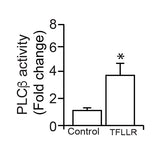 7489. TFLLR-NH2 1MG - TOCRIS