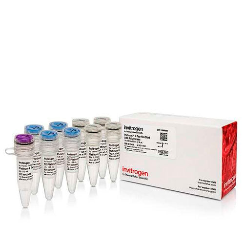 26786. ADN POLIMERASA HOT-START PLATINUM II TAQ 500 REACTIONS INVITROGEN