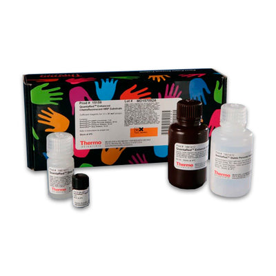 53195. QUANTARED ENHACED CHEMIFLUORESCENT HRP SUBSTRATE KIT 110ML - PIERCE