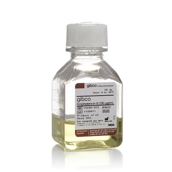 AMPHOTERICIN B, 20ML 15290018 - GIBCO