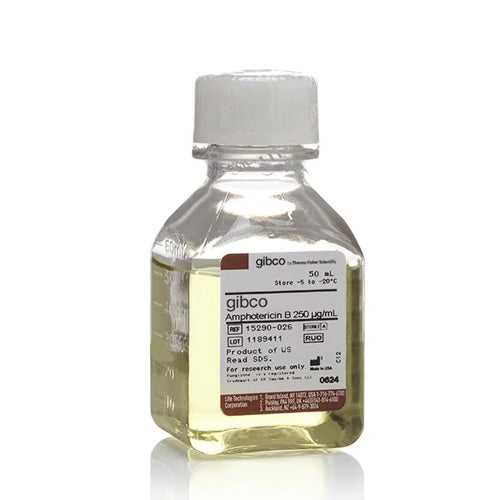 3784. ANFOTERICINA B 50ML - GIBCO