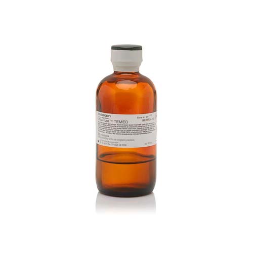 20946. TEMED ULTRA PURO 30ML - INVITROGEN