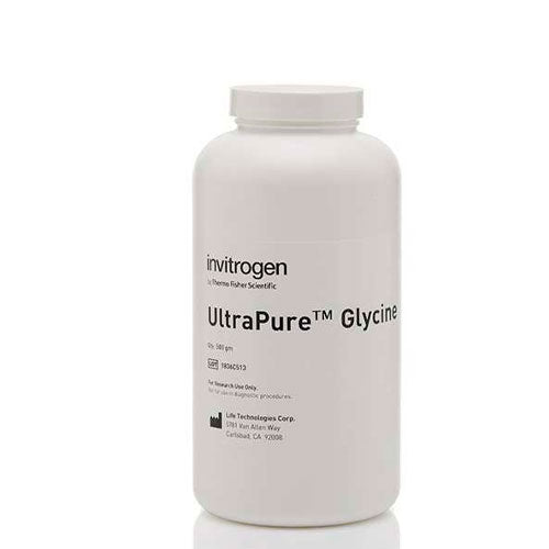 26812. GLICINA ULTRAPURE 500GR INVITROGEN