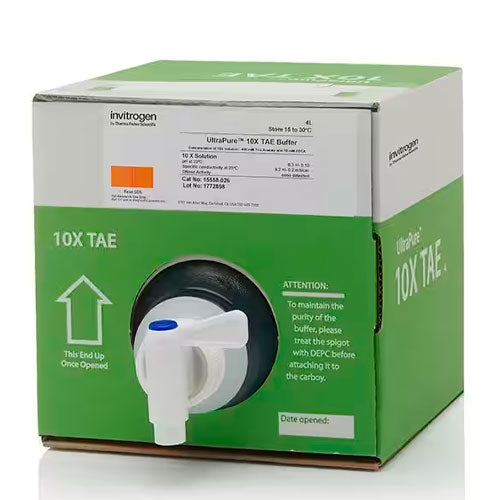 26813. BUFFER TAE ULTRAPURE 10X 4LT INVITROGEN