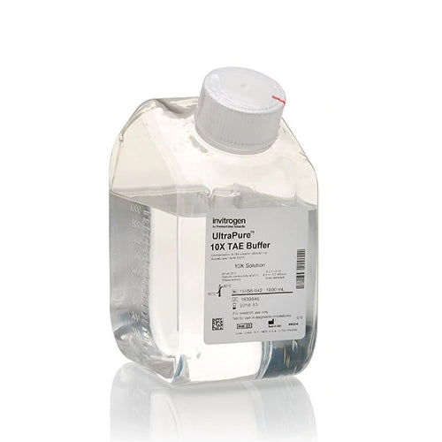 53510. SOLUCION BUFFER TAE ULTRAPURE 10X 1LT - INVITROGEN