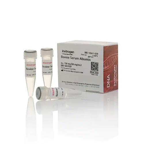 22746. ALBUMINA DE SUERO BOVINO 150MG INVITROGEN