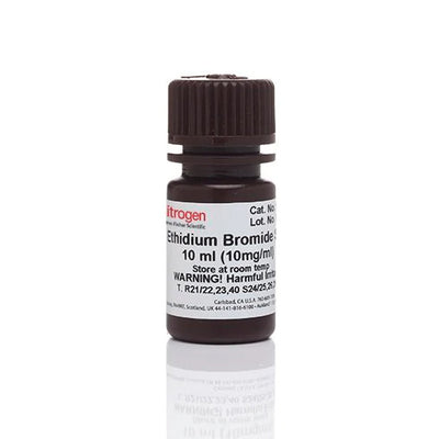 53354. BROMURO DE ETIDIO ULTRAPURE 10 MG/ML 10ML - INVITROGEN