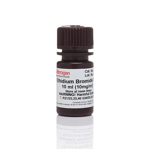 3645. BROMURO DE ETIDIO ULTRAPURE 10 MG/ML 10ML - INVITROGEN