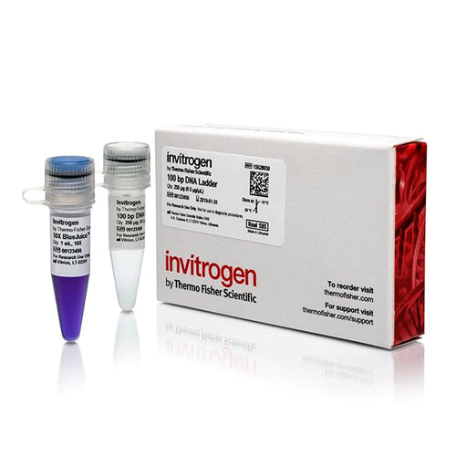53357. 101 BP DNA LADDER 250UG - INVITROGEN