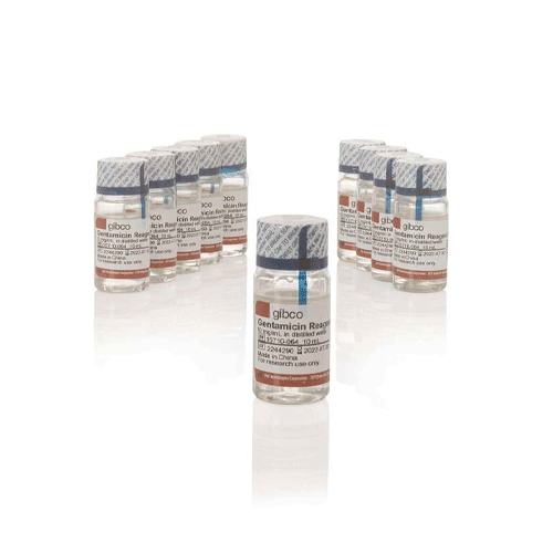 26852. GENTAMICINA (50MG/ML) 10ML GIBCO