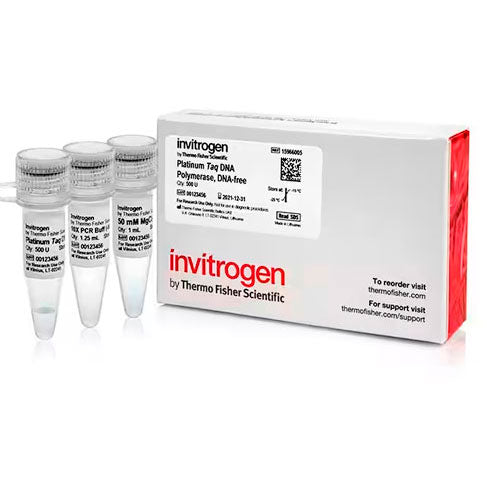 23942. PLATINUM TAQ ADN POLIMERASA SIN ADN 500U INVITROGEN